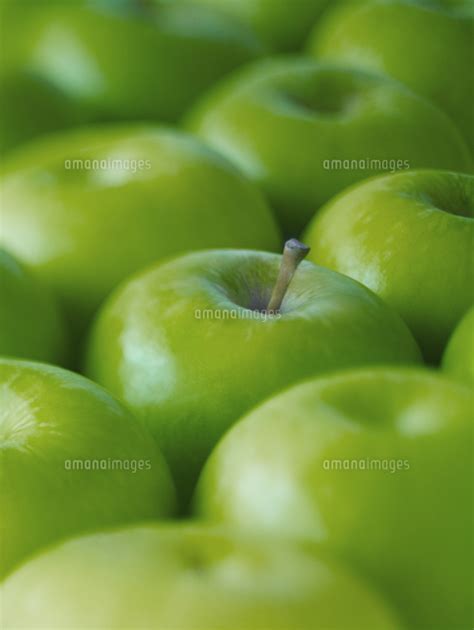 Extreme Close Up Of Whole Green Granny Smith Apples 11086013073 の写真素材
