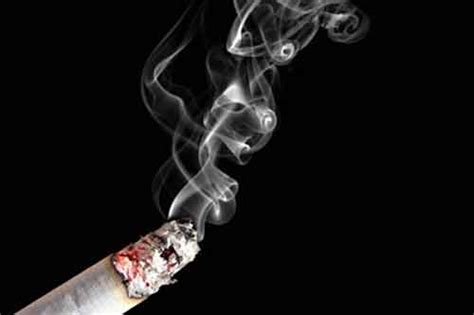fumo passivo nei bambini inibisce la naturale reattività tosse che tiene pulite le vie aeree