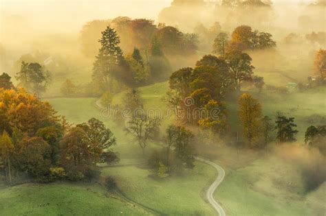 Foggy Autumn Morning With Beautiful Vibrant Warm Colours