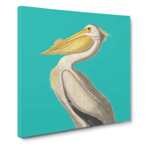 American Pelican In Teal By John James Audubon Canvas Print Wall Art