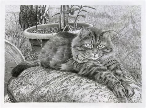 Realistic Drawings Of Nature Photo Realistic Landscape Drawings In