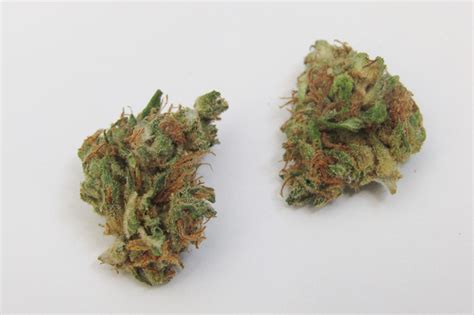 Desert Ruby Why Colorado Tokers Love This Strain Westword