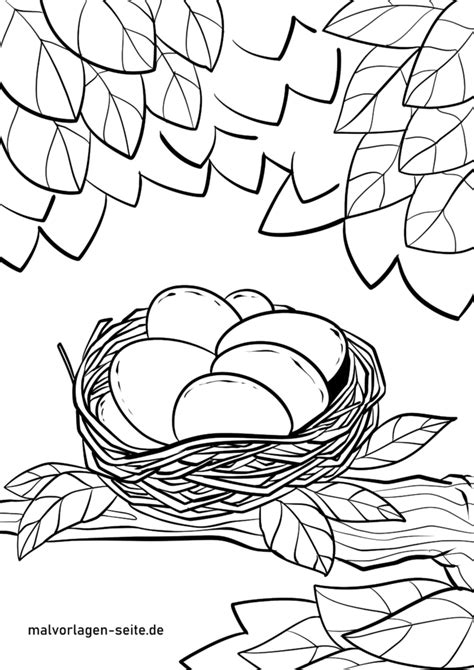 Malvorlage kostenlos vogel malbuch drucken snake rings silver. 20 Malvorlage Vogel Im Nest Kostenloser | schmuselinchen