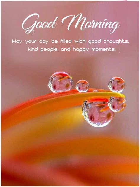 good morning wishes messages for lover good morning images quotes wishes messages