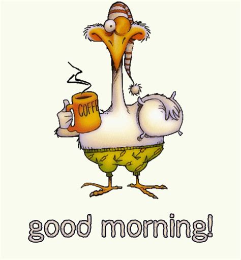 Sleepy Chicken With Coffee Good Morning Pictures Photos And Images