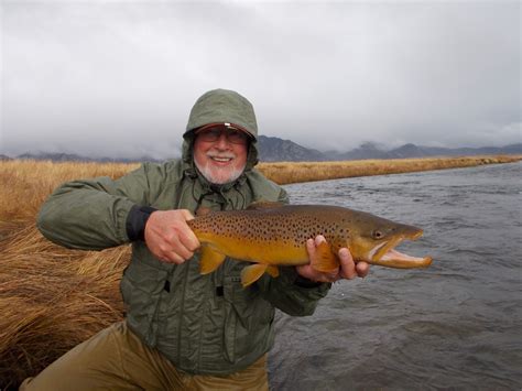 Maybe you would like to learn more about one of these? Addictive Angling Colorado: Fall Fishing Just Around the Corner