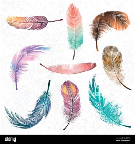 Colorful Feather Element Vector Set Stock Vector Image And Art Alamy
