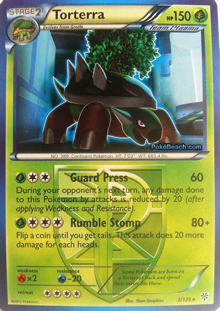 How much does a guard card cost? Torterra -- Plasma Storm Pokemon Card Review ...