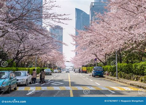 Spring In Busan South Korea Editorial Photography Image Of City