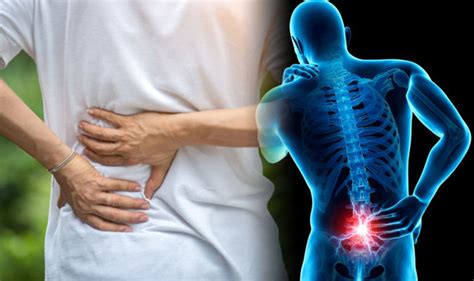 What Organ Is Located In The Lower Back Chronic Lower Back Pain