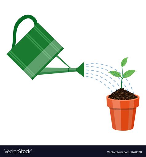 Watering Can And Plant In The Pot Royalty Free Vector Image