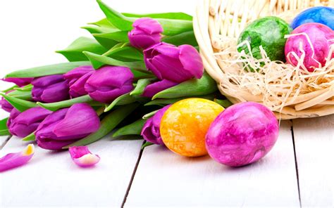 New Free Images Of Easter Flowers Top Collection Of Different Types