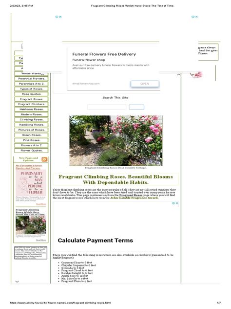 Fragrant Climbing Roses Which Have Stood The Test Of Time Pdf Rose