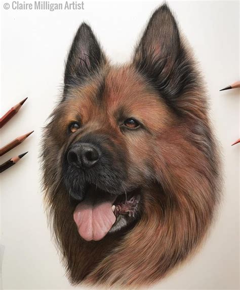 Pin By Randy Mcdevitt On Art I Like Pet Portraits Dog Portraits Pet
