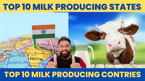 Top 10 Milk Producing States In India Top 10 Milk Producing Contries