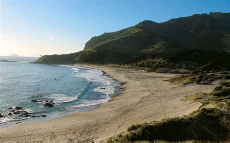 Ocean Beach North Island New Zealand World Beach Guide