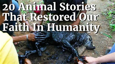 20 Animal Stories That Restored Our Faith In Humanity Touching Animals