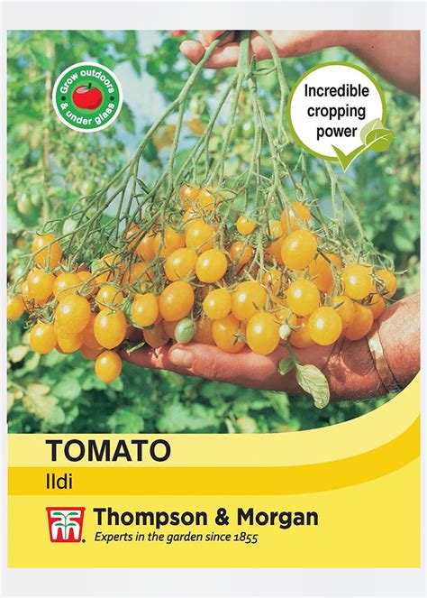 Tomato Ildi Seeds Dobbies Garden Centres