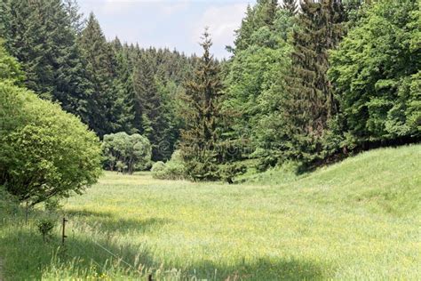 Landscape In The Vessertal A Part Of The Thuringian Forest Nature Park