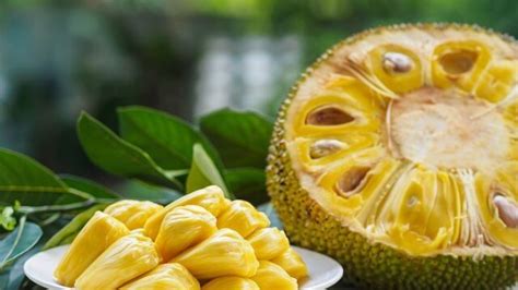 Lista Cu 20 Fructe Exotice Denumiri Imagini și Descriere