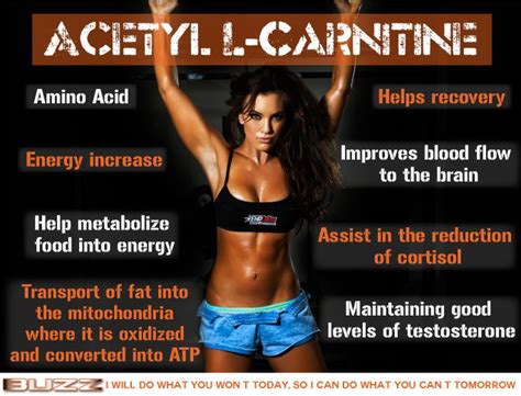 All You Need To Know About L Carnitine · Healthkart