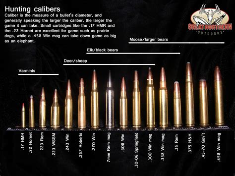 Ammo And Gun Collector April 2013