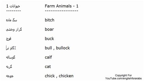 Animals Names In Persian Part 1 Persian For Beginners Youtube