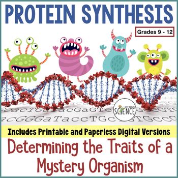 Chromosomes are strings of genes. Protein Synthesis and Translation Activity by Amy Brown ...