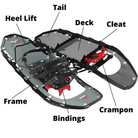 How To Buy Snowshoes With Pictures