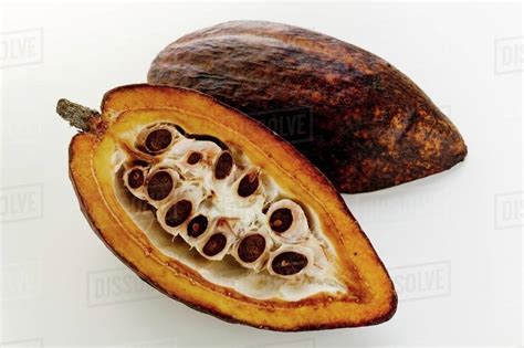 Cacao Pod Halved Stock Photo Dissolve