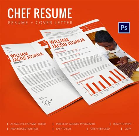 Chef Resume Template 11 Free Samples Examples Psd Format Download