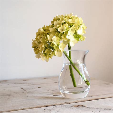 Small Clear Glass Vase By Home Address