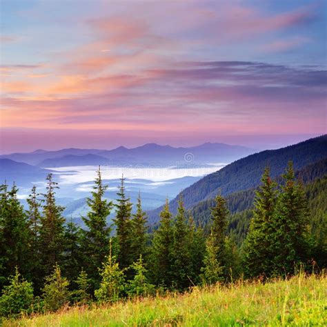 Beautiful Summer Mountain Landscape Dramatic Scene Carpathian Stock