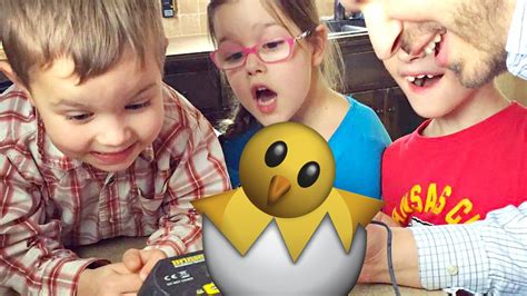 J house vlogs started posting family vlogs on youtube on september 18, 2014. Chicks Hatch🐤 - YouTube