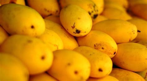 How Well Do You Know Your Mangoes