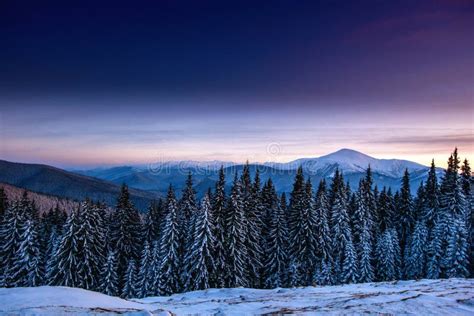 Beautiful Winter Landscape In The Carpathian Mountains Stock Image
