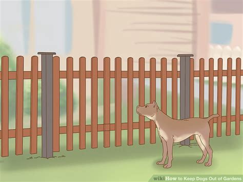 Here are some points to keep in mind: 3 Ways to Keep Dogs Out of Gardens - wikiHow