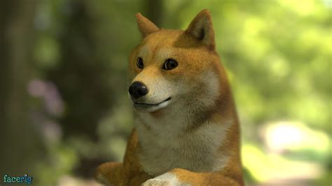 Much Pose Very Facerig Wow Dogecoin