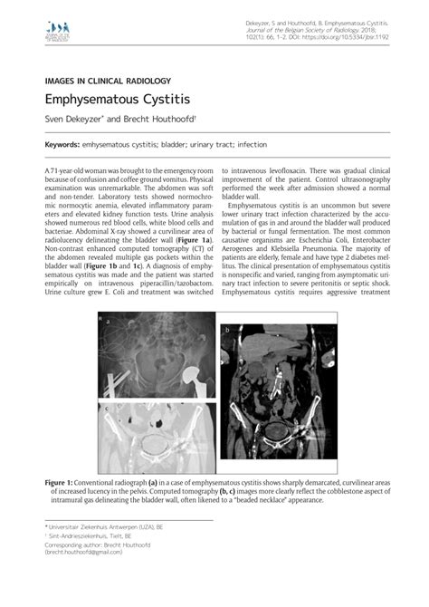 Pdf Emphysematous Cystitis