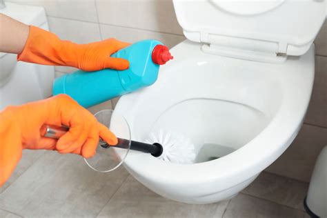 14 Tips Para Maximizar La Limpieza Del Baño Blog Del Experto