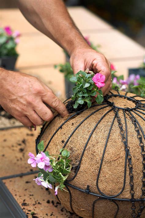 How To Plant A Beautiful Hanging Basket In Just 20 Minutes
