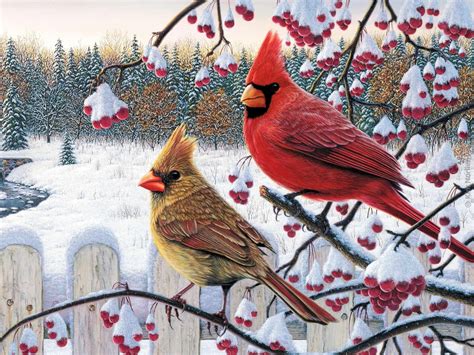 Female And Male Cardinal In Winter