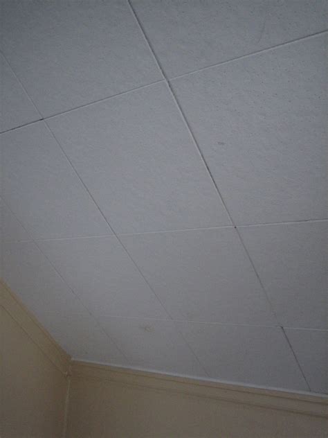 They are favored because they are position a chair or stepladder underneath the tile. Asbestos and old ceiling tiles... - Pelican Parts Forums