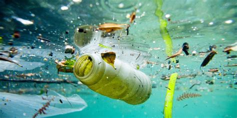 Garder Lespoir Face à La Pollution Plastique Des Océans Franklin