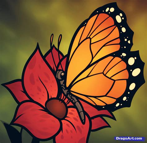 How To Draw A Butterfly On A Flower Butterfly And Flower 1091×