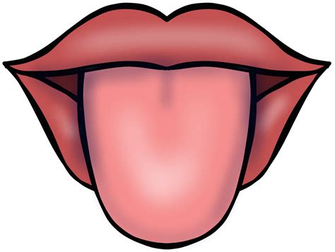 Ejercicios Bucofaciales Para Mejorar El Desarrollo Del Lenguaje Oral Lenguaje Oral Desarrollo