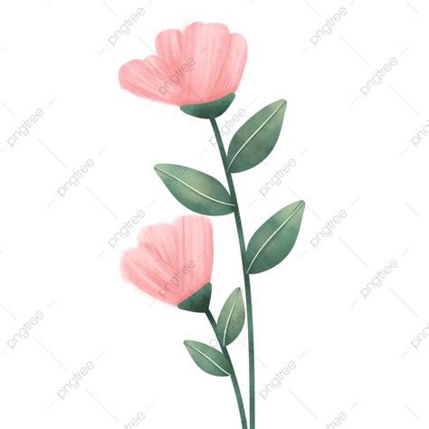 Tulipán Rosa Flor Png Png Flor De Tulipán Rosa Flor Rosa Tulipán