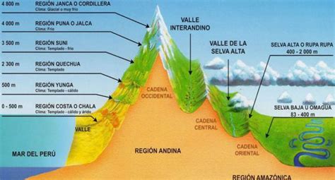 Las Regiones Naturales Del Peru Para Niños De Primaria Hay Niños