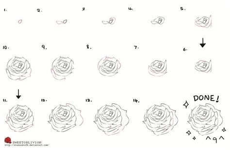 Sketch Rose Flower Drawing Easy Step By Step Half Revolutions