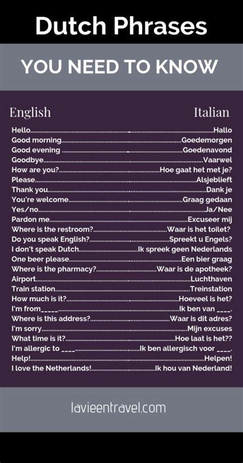 25 basic dutch phrases to use in the the netherlands dutch phrases learn dutch dutch words